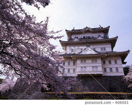 天守阁 小田原城 城堡塔楼