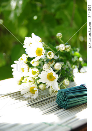 菊花 白菊花 小纸条