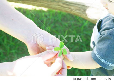 图库照片: 孩子的手 四叶草 三叶草