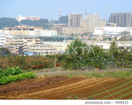 tama new town inagi wakabadai stock photo[999915 pixta