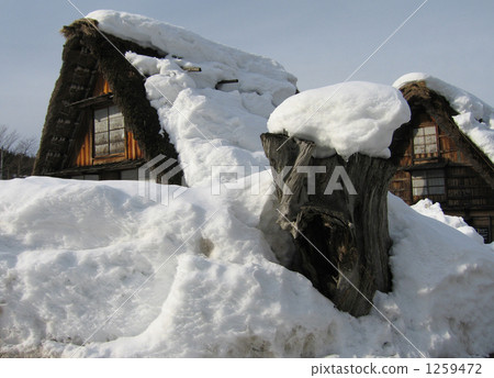 白川乡 长满茅草的椽架屋顶 积雪