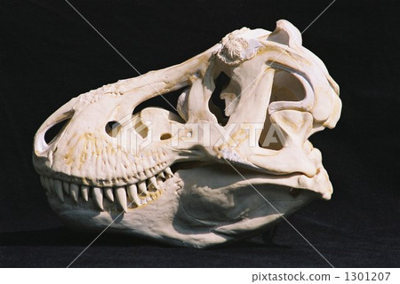 恐龙+霸王龙+暴龙