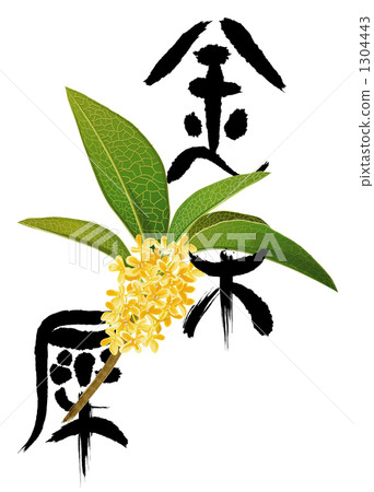 插图素材: 桂花