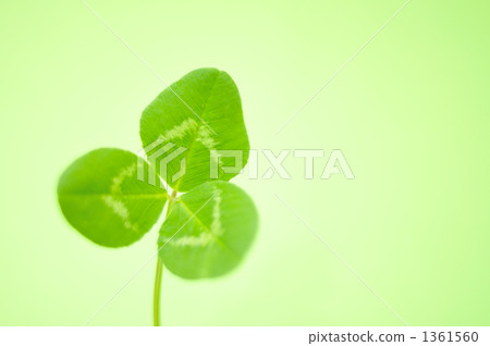 三叶主题曲数字简谱