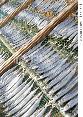 stock photo saury dried fish fish