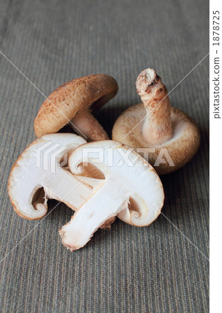 shiitake mushroom, raw shiitake mushroom, mushroom