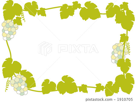 stock illustration: grape leaf, white grape, grape