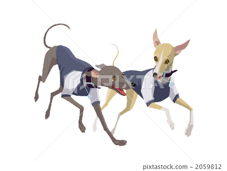 stock illustration: italian greyhound, dog, dogs