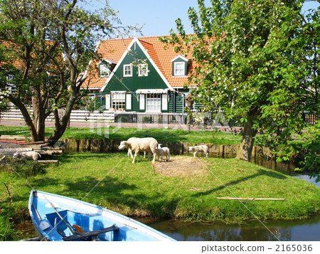 detached houses, houses, netherland