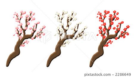 插图素材: 三色李子