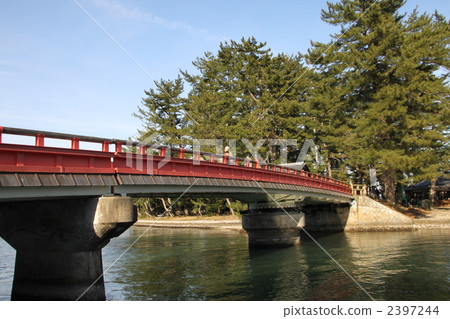 bridge, bridges, amanohashidate