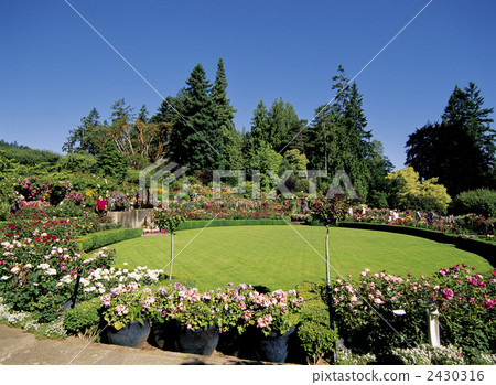 stock photo: victoria"s butchart gardens