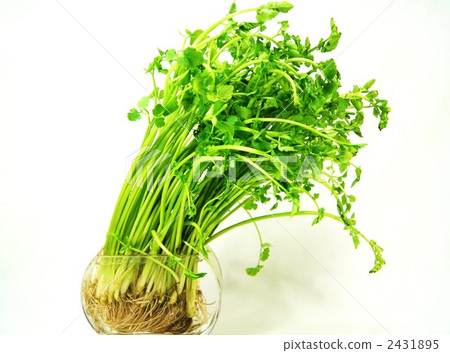 japanese parsley, vegetables, vegetable