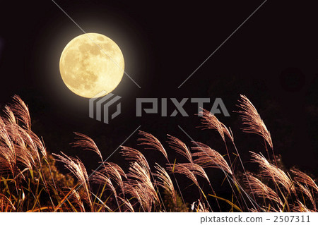 景色 秋天 夜晚