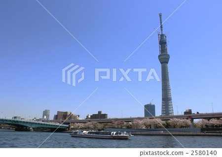 日本风景 东京 东京晴空塔 照片 东京天空树和樱木樱 首页 照片 日本