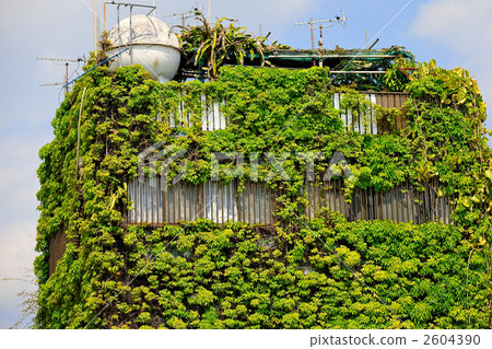 stock photo: a green house of okinawa when it is a nursing