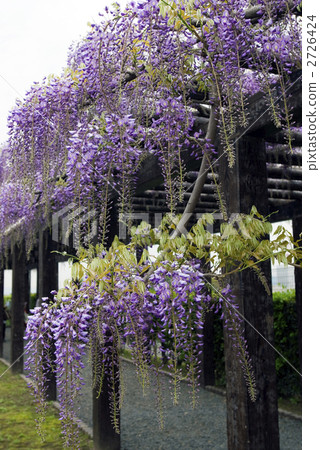 stock photo: toba no fuji noda fuji