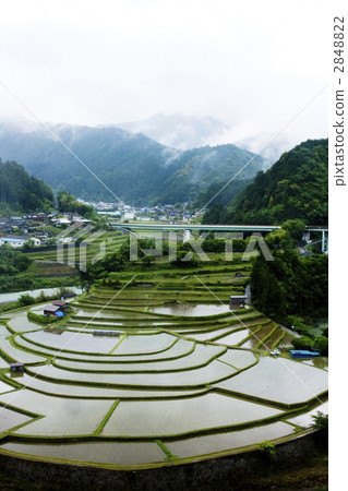 照片素材(图片): 有田川町 和歌山县 田园