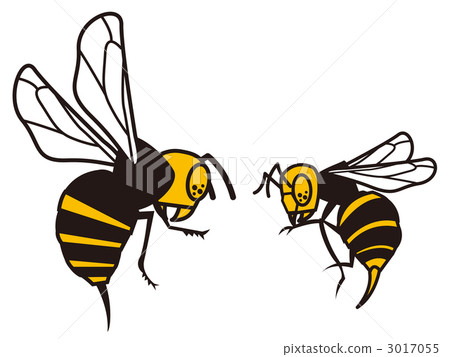 插图素材: 黄蜂 蜜蜂 八