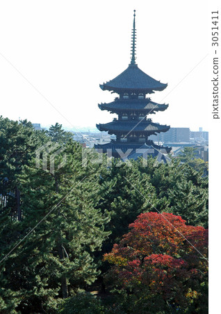 五重塔 兴福寺 秋天颜色