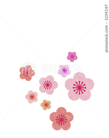 an ume flower, japanese apricot flower, plum
