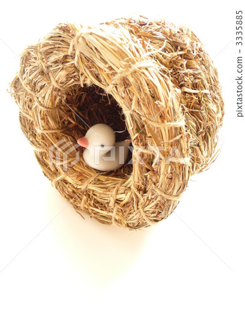 bird's nest, nestling, nest