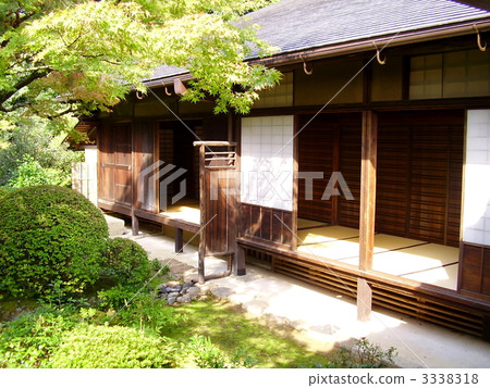 高桐院 大德寺 园林绿化