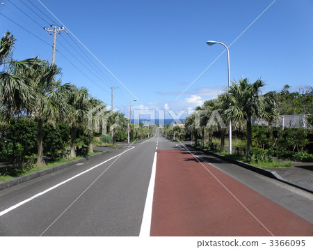 照片素材(图片): 直行道 大道 林荫路