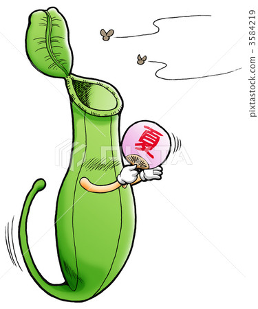 stock illustration: pitcher plant, insectivorous plant