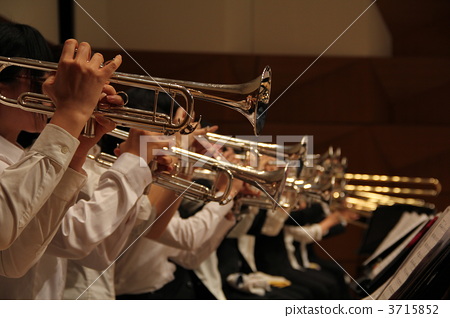 stock photo: musician, musicians, orchestra