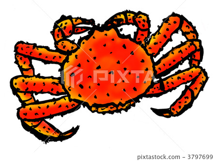 red king crab, crab, king crab