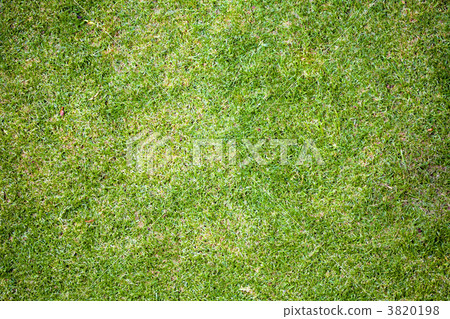 图库照片: grass texture background