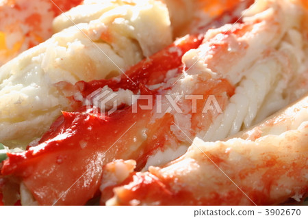 red king crab, king crab, crab