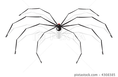 vector illustration of a spider 4308385