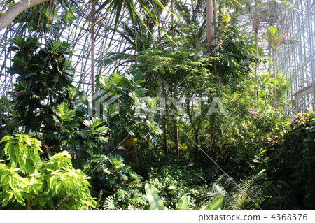 stock photo: yume no island tropical botanic garden