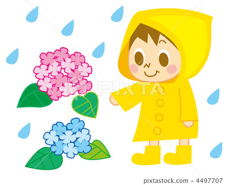 雨季 绣球花