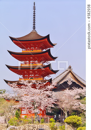 五重塔 宫古岛神社 樱桃树