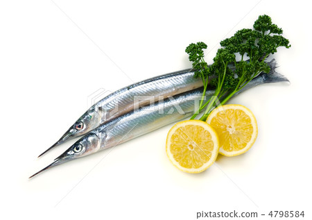 japanese halfbeak, fresh seafood, seafood
