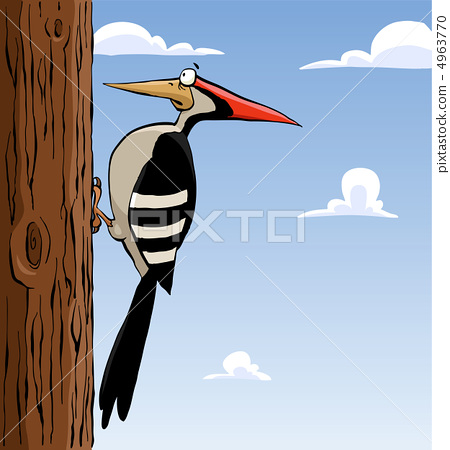 插图素材: woodpecker