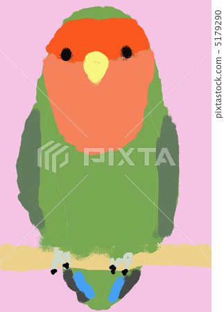 rosy-faced lovebird, cockatoo, macaw