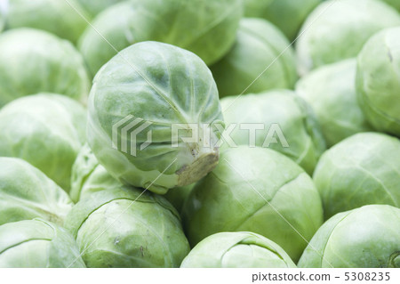 brussels sprouts, green color, green