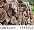 pulpwood, woodpile, log