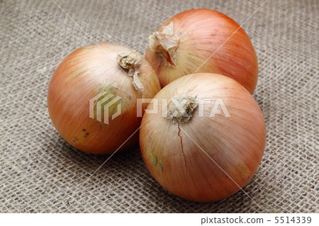 stock photo onion see all