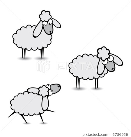 插图素材: gray sheep