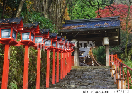 图库照片 kibune神社在秋天