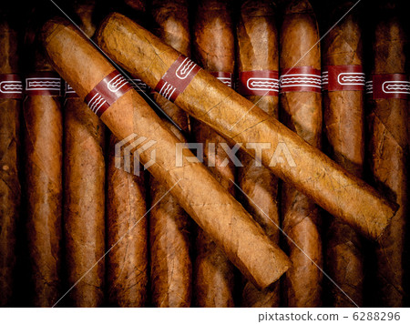 close up of cigars in open humidor box 6288296