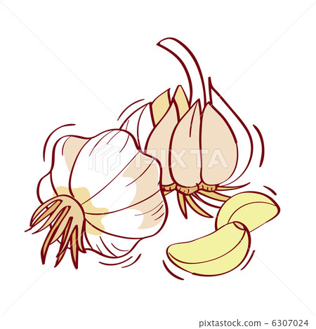 蔬菜_食品 根菜类_芋头类 大蒜 插图 prayicon 1 - 植物 首页 插图