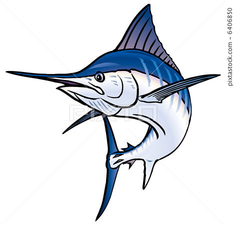 stock illustration: blue marlin, black marlin, merlin