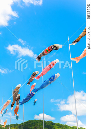 stock photo: carp streamer