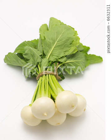 photo : small turnip, potherbs, beet